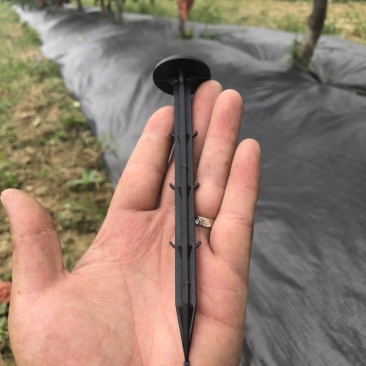 地布钉，防草布，地膜专用，大盖帽设计有倒刺不易拔出