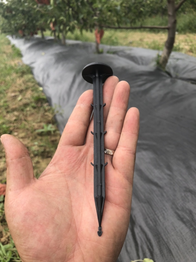 地布钉，防草布，地膜专用，大盖帽设计有倒刺不易拔出