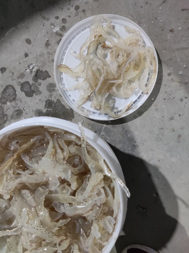广东花丝，口感好，酒店专用，**酒店市场，一件可发