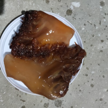渤海野生大红角，自然色，红又亮，**酒店市场