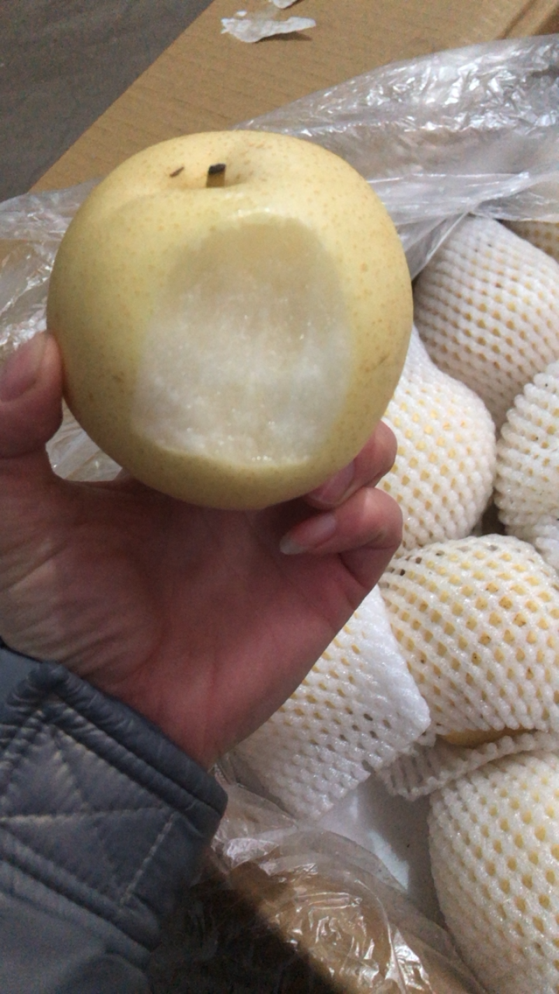 【鸭梨】河北水晶鸭梨，精品梨子产地直发价格便宜对接全国