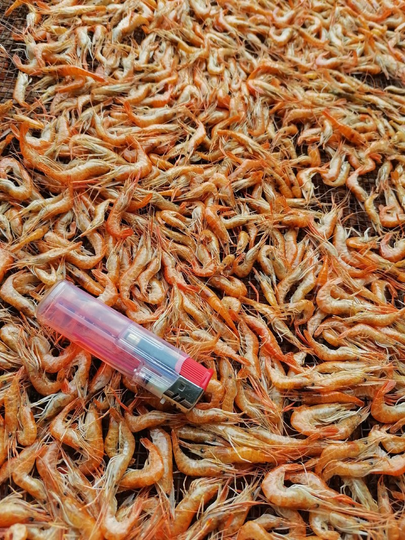 河虾干，大河虾干，大红虾干，淡水无盐大虾干，精品货，