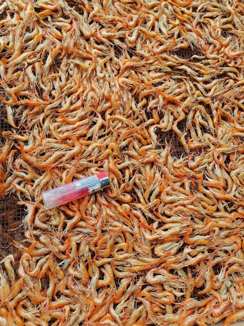 河虾干，大河虾干，大红虾干，淡水无盐大虾干，精品货，