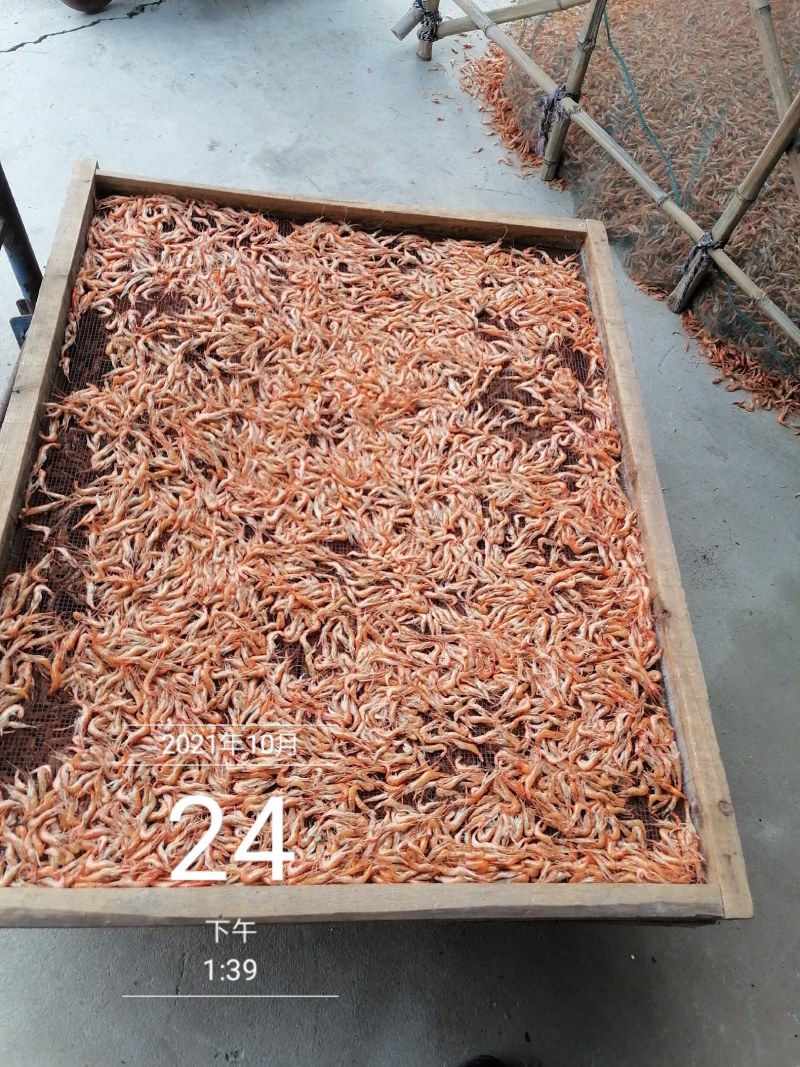 河虾干，大河虾干，大红虾干，淡水无盐大虾干，精品货，
