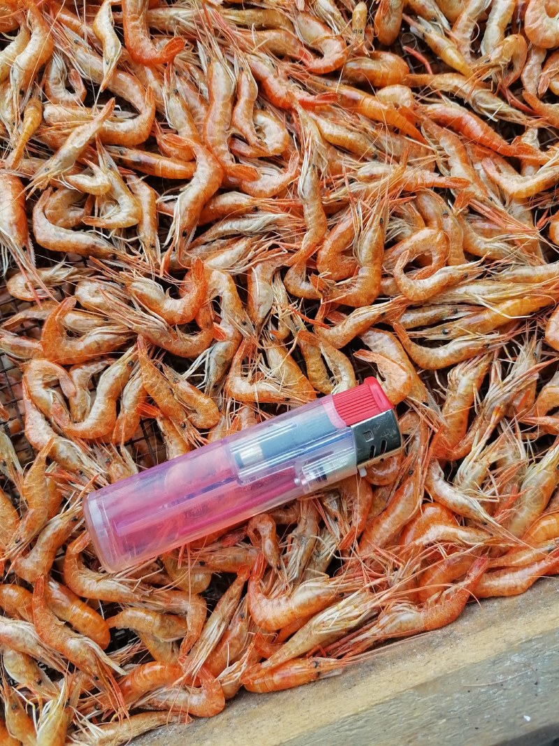河虾干，大河虾干，大红虾干，淡水无盐大虾干，精品货，