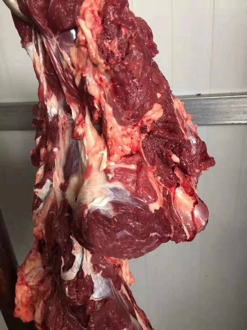 河北新鲜驴肉纯干驴肉正宗无注水自家屠宰场