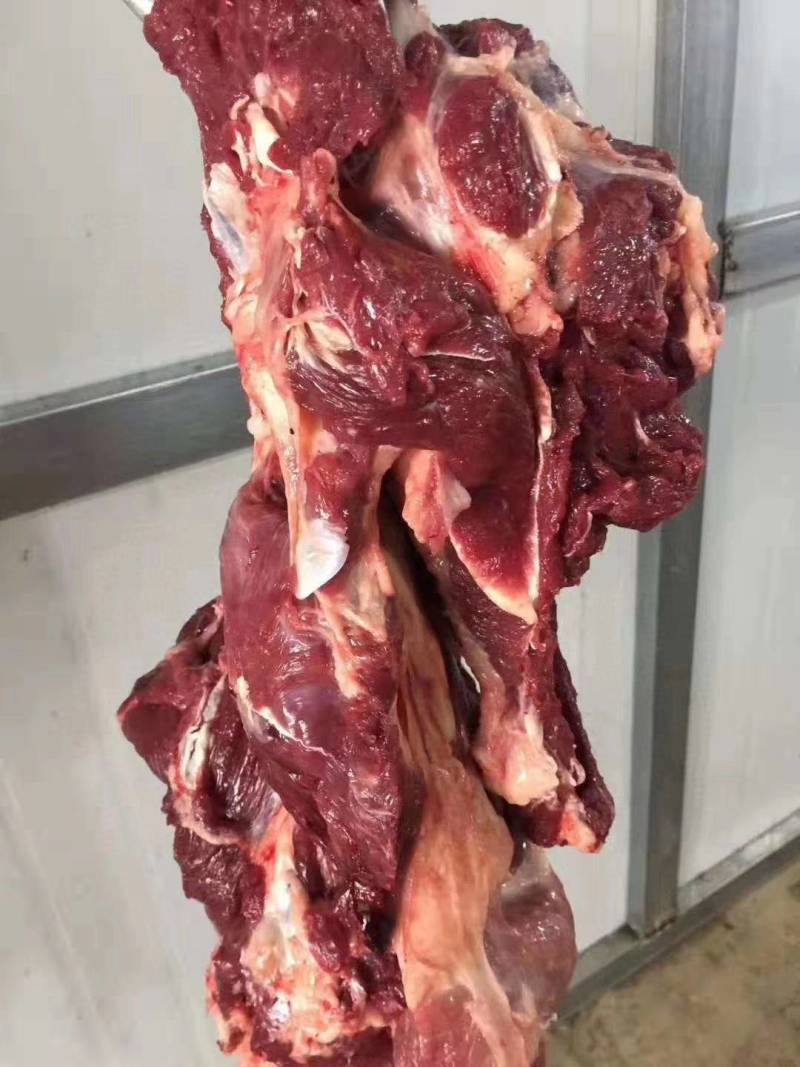 河北新鲜驴肉纯干驴肉正宗无注水自家屠宰场
