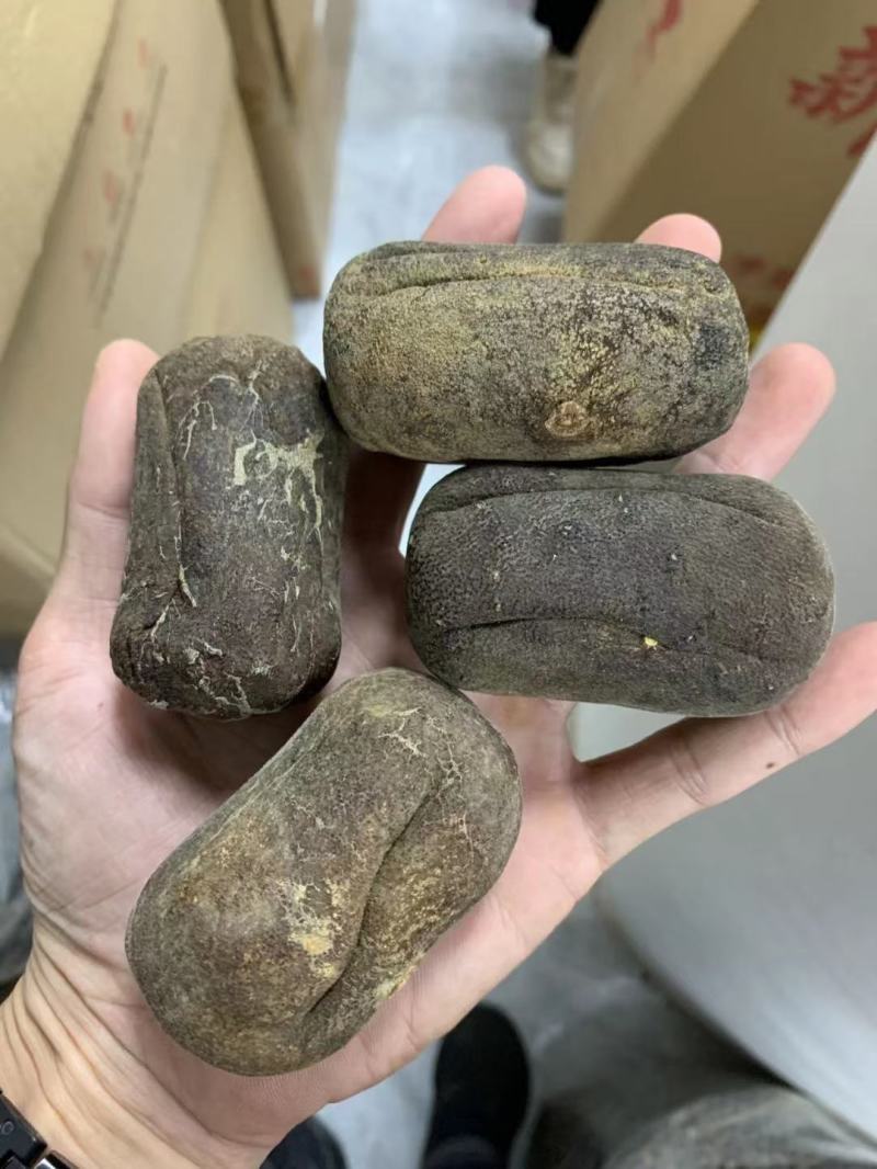 化州化橘红新果老果圆果压果！化州化橘，化州化橘！
