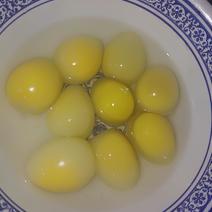 野鸡蛋变蛋