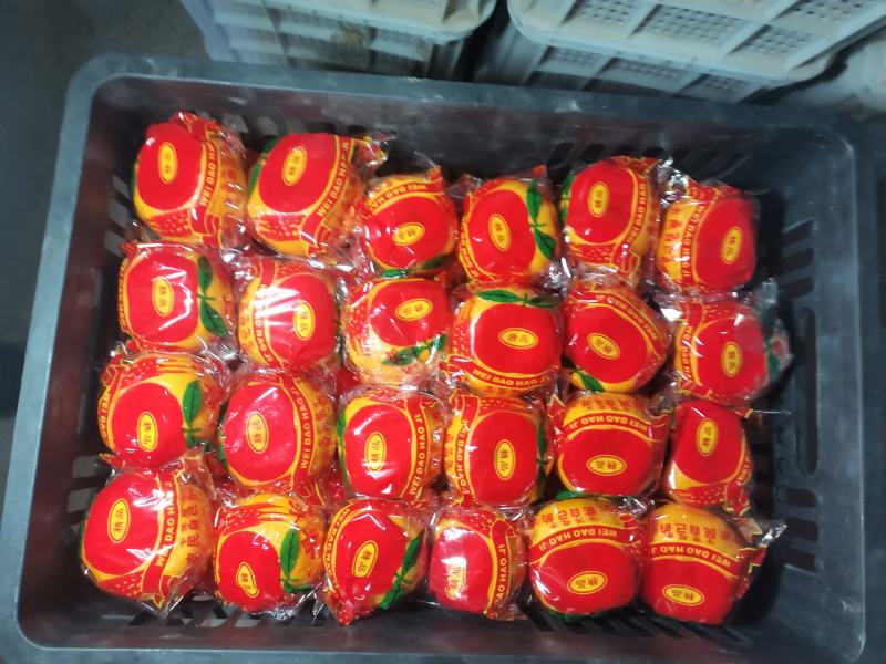 顺昌县高山特级精品芦柑
