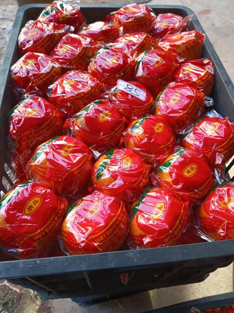 顺昌县高山特级精品芦柑