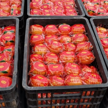 顺昌县高山特级精品芦柑