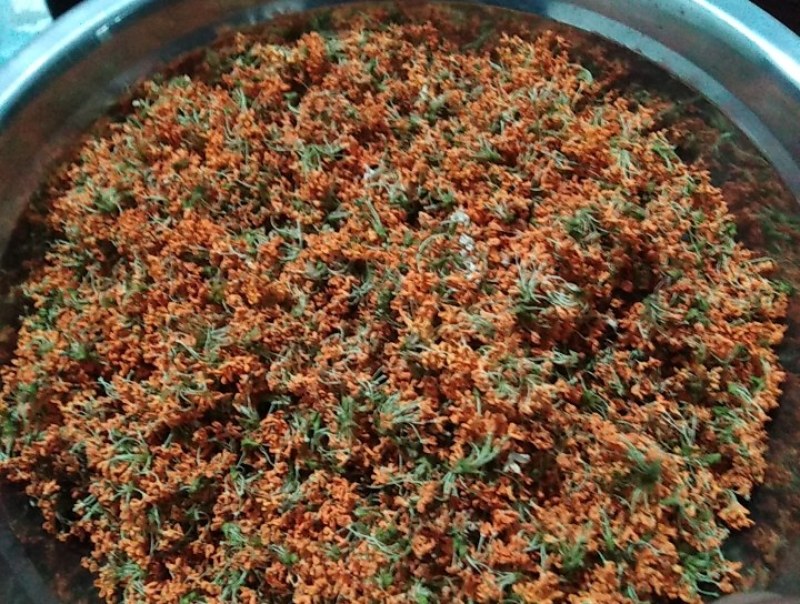 新鲜金桂.银桂.无硫桂花.自然晒干，视频看货。