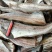 无头鱼狭鳕鱼鳕鱼明太鱼大量现货品质保证欢迎咨询