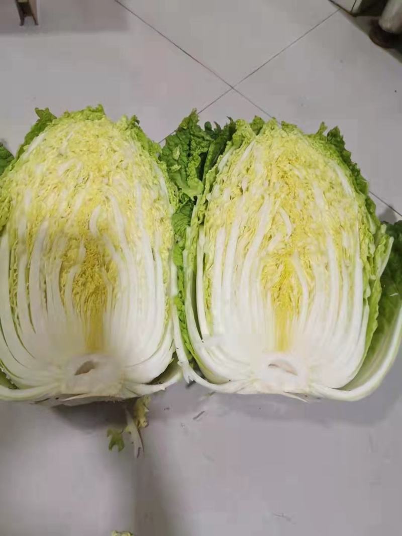 黄心大白菜