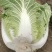 黄心大白菜