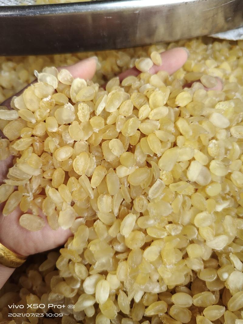 皂角米小籽，无硫大双荚，靓货大量有货，质高价优，欢迎订购