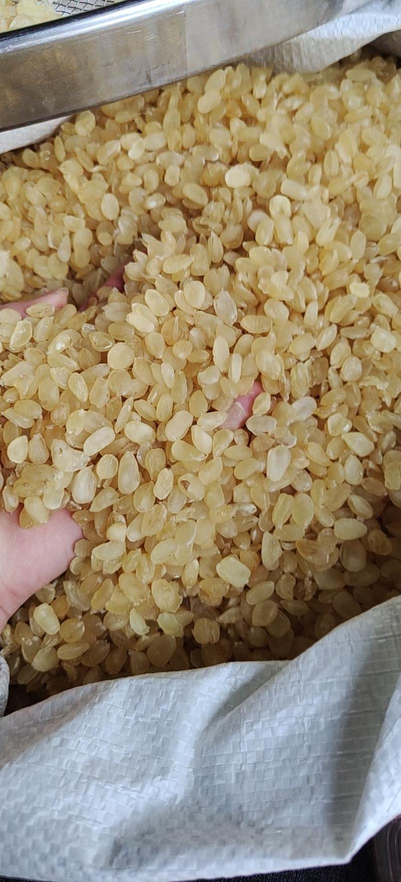 皂角米小籽，无硫大双荚，靓货大量有货，质高价优，欢迎订购