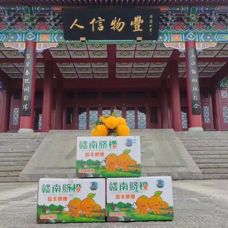 脐橙皮薄多汁鲜甜化渣电商专供可全国发货欢迎下单采购