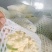 陕西甘蓝大量上市中品质保证一手货源量大价优