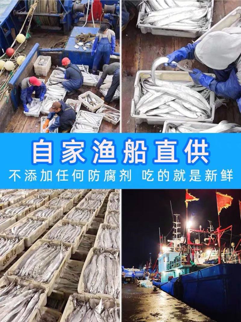 【会员专享】5斤整条带鱼新鲜整条特大无冰小眼带鱼批发包邮