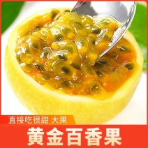 黄金百香果一件代发大量供应批发新鲜水果招代理