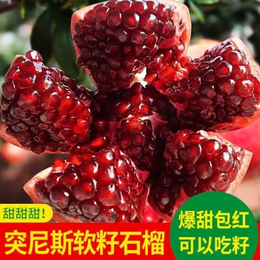 石榴树苗突尼斯软籽石榴树苗蒙阳红石榴,潘石榴品种齐全提供