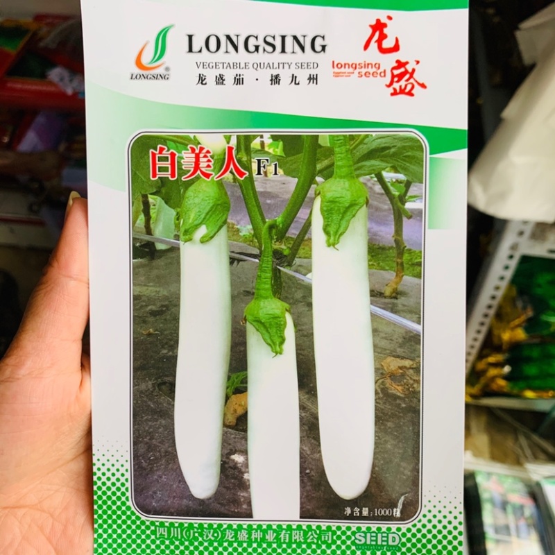 白美人长白茄子种子龙盛白色茄子种子绿萼果面雪白光亮早熟