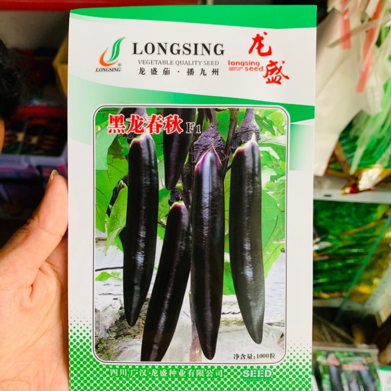 黑马墨茄/黑龙春秋茄子种子专业育种春夏秋种植茄子