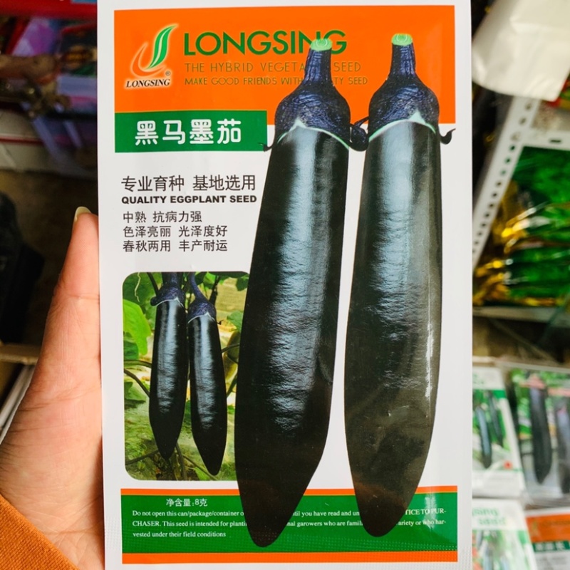 黑马墨茄/黑龙春秋茄子种子专业育种春夏秋种植茄子