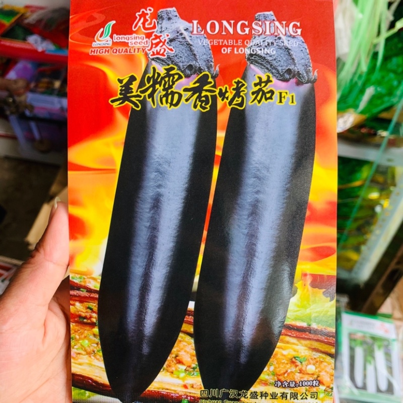 烧烤茄种子龙盛美糯香烤茄早熟杂交一代茄子种子清香好吃