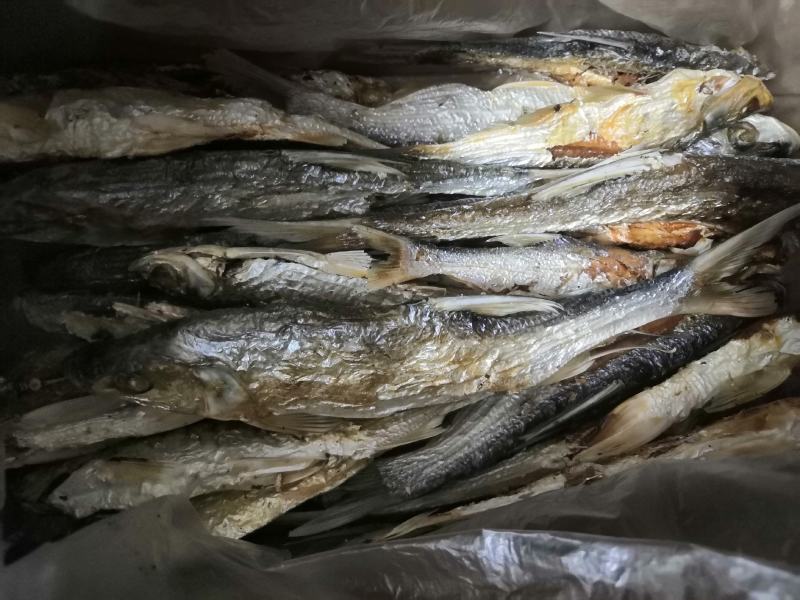 野钓鱼干