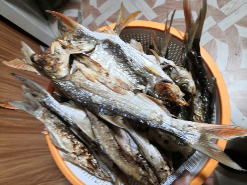 野钓鱼干