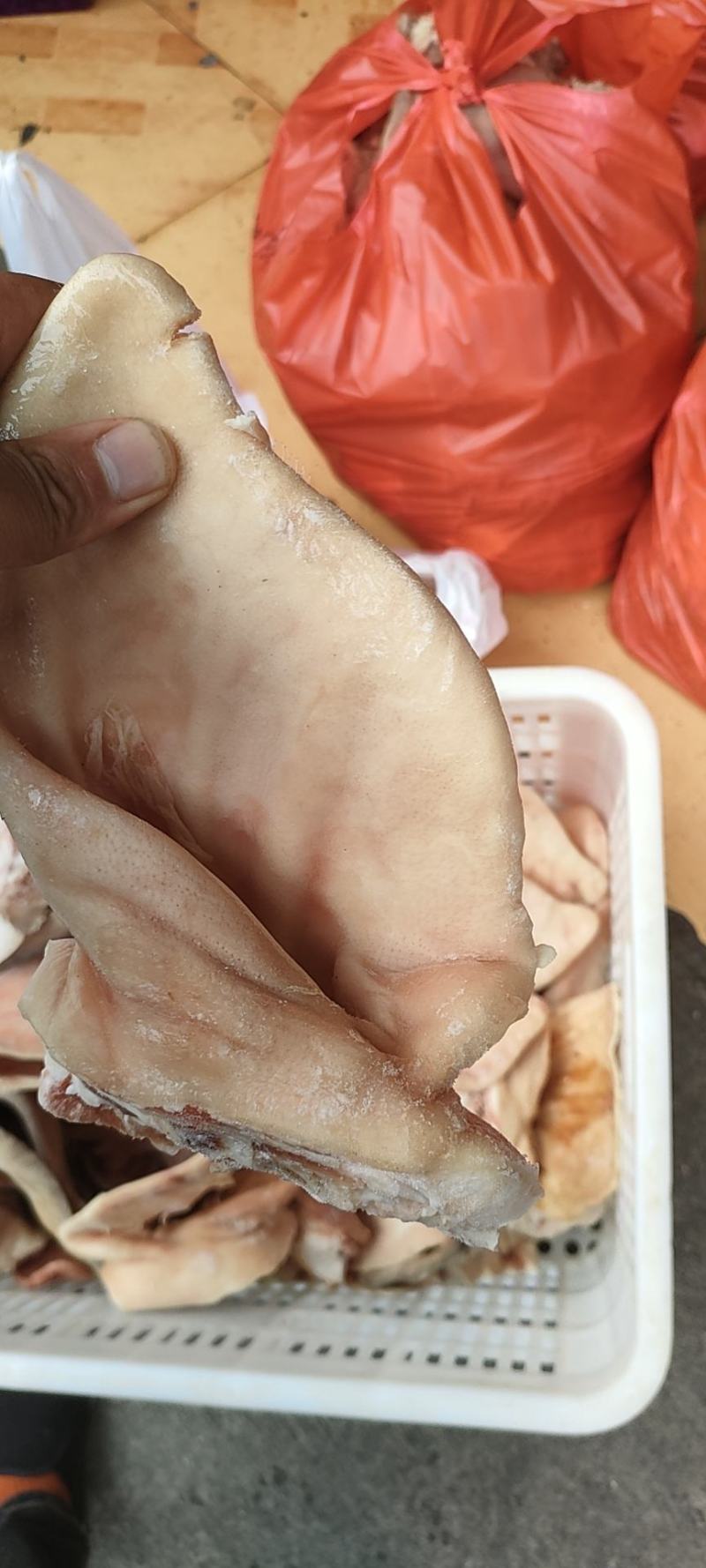 厂家猪耳朵鲜货，大量供应，实物拍摄，常年供应，资质齐全