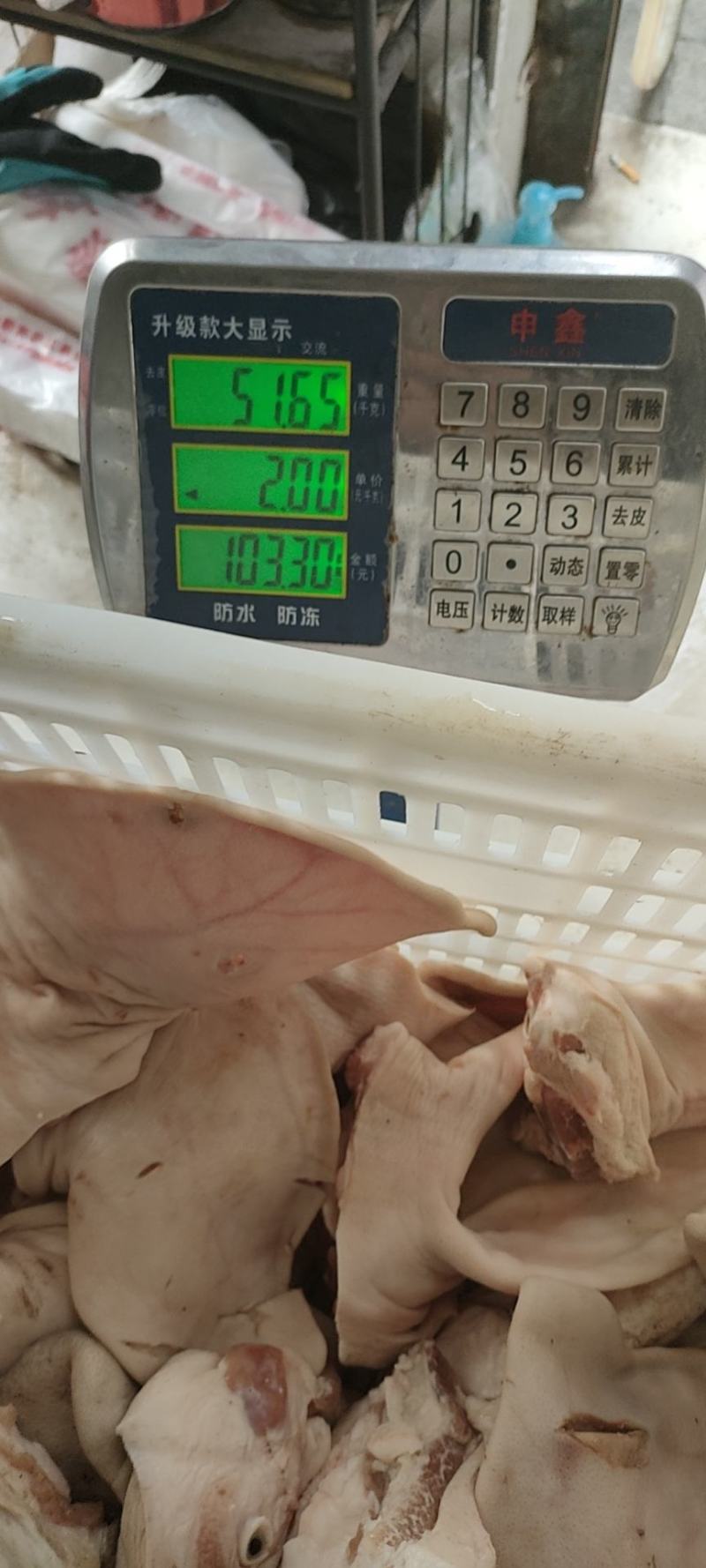 厂家猪耳朵鲜货，大量供应，实物拍摄，常年供应，资质齐全