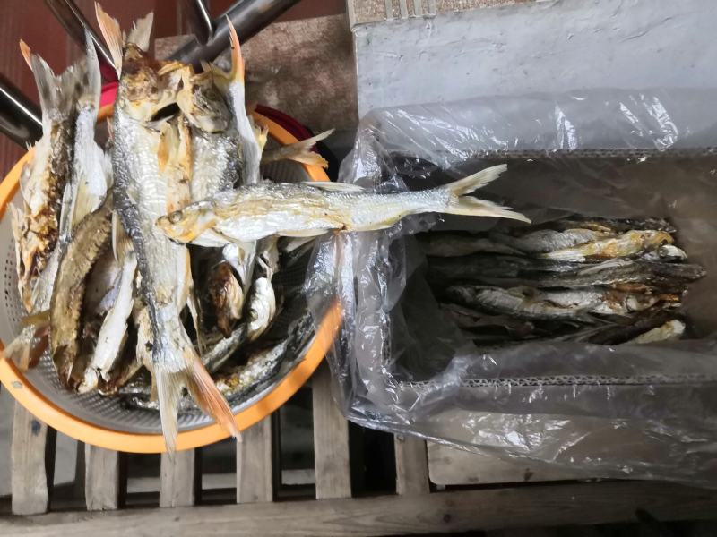 野钓翘嘴鱼干，红尾鱼干