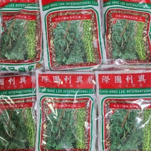 改良11号软夹荷兰豆（益农牌）