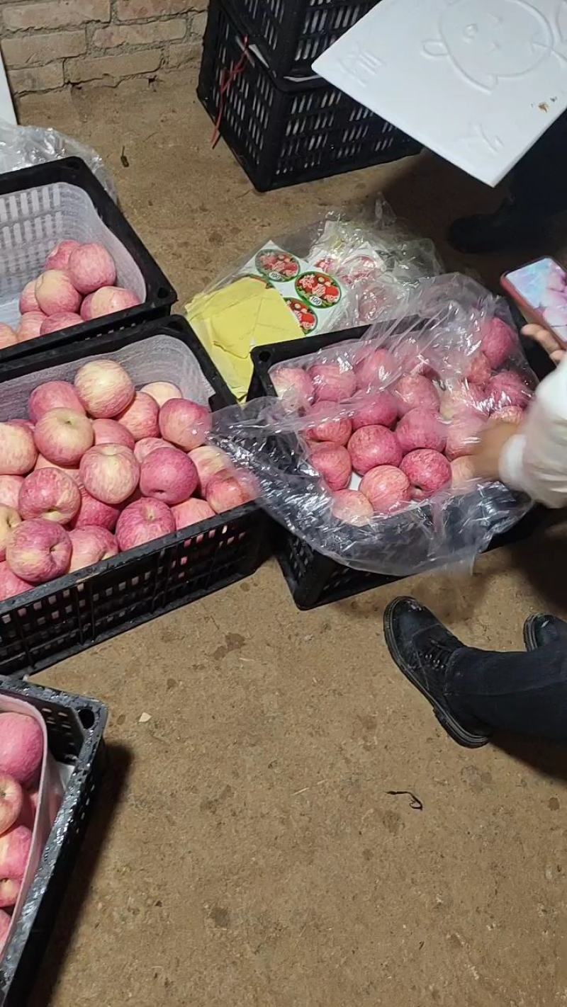 寺河山苹果供应二级富士，高次，好二级，三级苹果价格低