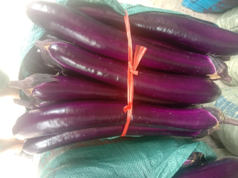 蔬菜