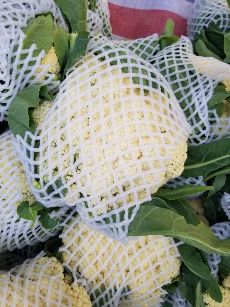 菜花松花有机花，产地种植面积大，品种优良