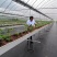 PE编织防草布可用五年除草布透气透水保湿保肥保墒