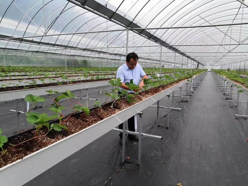 PE编织防草布可用五年除草布透气透水保湿保肥保墒