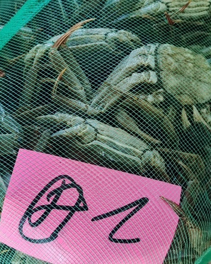 本店经营螃蟹龙虾质量有保证欢迎各位老板洽谈