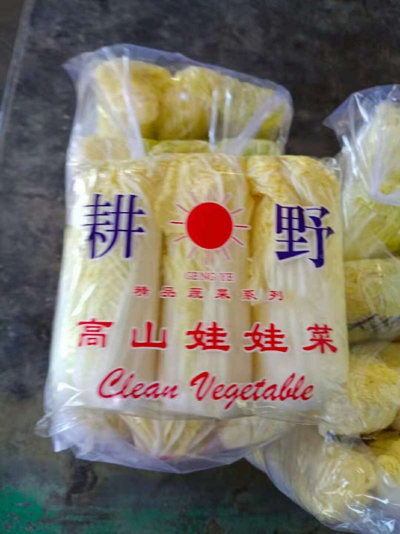 精品娃娃菜黄颗，青颗，质量好，需要的联系了