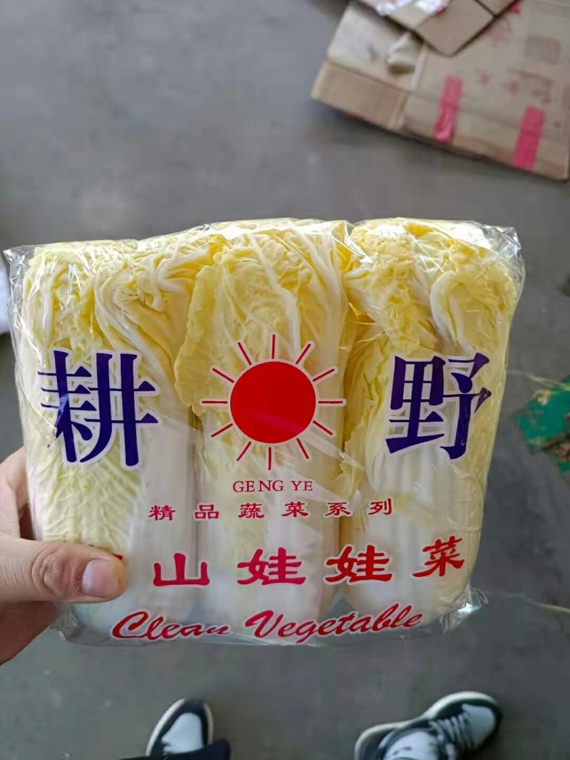 精品娃娃菜黄颗，青颗，质量好，需要的联系了