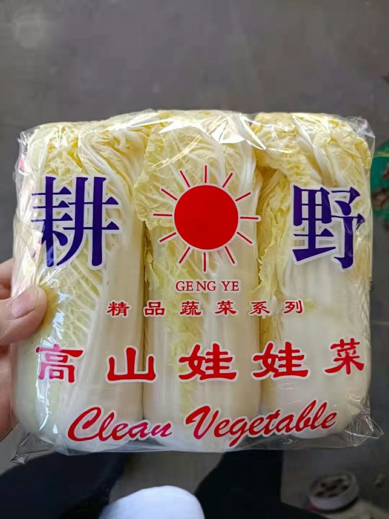精品娃娃菜黄颗，青颗，质量好，需要的联系了