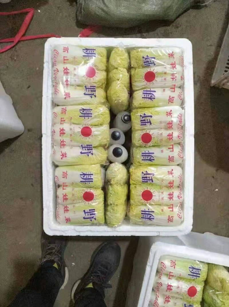 精品娃娃菜黄颗，青颗，质量好，需要的联系了