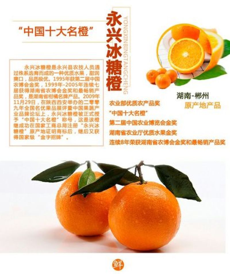 冰糖橙