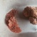 朱砂参朱砂莲朱砂根货好量大产地直售