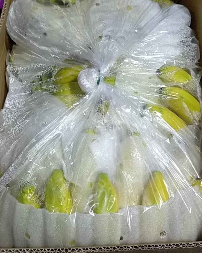 菲律宾进口优质香蕉，口感香糯甜，价格便宜需要提前联系